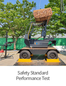Safety Standard Performance Test
